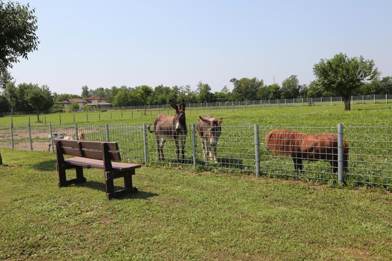 Azienda Agrituristica Ai Prai Castello Di Godego Esterno foto